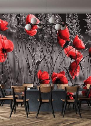 Флізелінові фото шпалери квіти на чорному тлі 254x184 см Черво...