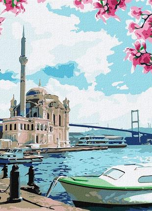 Набор для росписи по номерам картина по номерам "Яркий Стамбул...