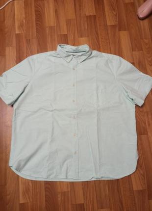Рубашка из хлопка 3xl мятного цвета большой размер батал