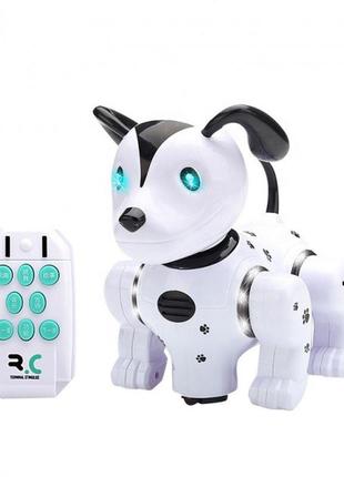 Робот-собака