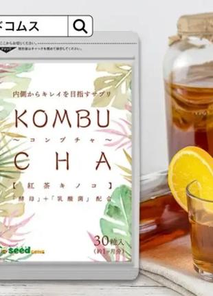 Kombucha нормализация пищеварения и восстановление с чайным гр...