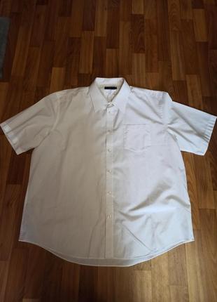 Белая рубашка на короткий рукав 18 размер