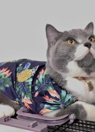 Стильная рубашка для кошек и собак, одежда