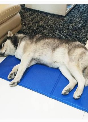 Охлаждающая подставка для животных,дивана, ноутбука