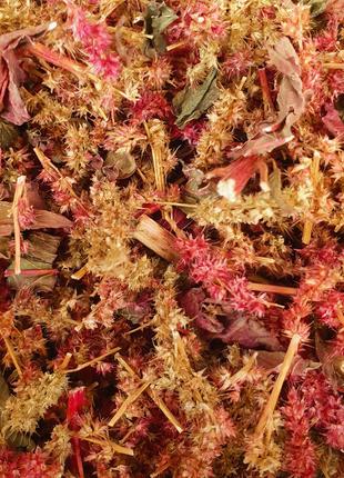100 г амарант трава/цвет сушеный (Свежий урожай) лат. Amaránthus