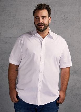 Белая рубашка большой размер тениска