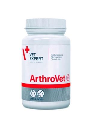 Витамины для собак и кошек VetExpert ArthroVet 90 табл (590775...