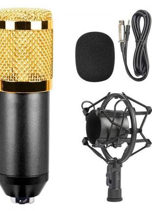 Студийный конденсаторный микрофон DM-800 со стойкой и ветрозащ...