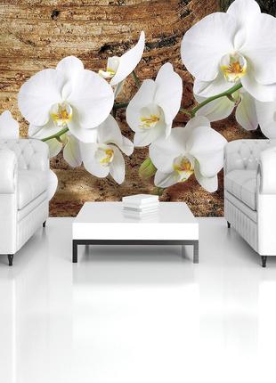 Фотообои с цветами 254x184 см 3Д Яркие белые орхидеи (1017P4)+...