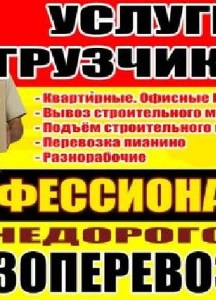 выгрузка фур вагонов услуги грузчиков