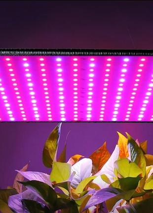 LED Фитолампа Для Растений 169LED (Фито Гроубокс Рассады Цветов)
