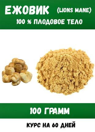 Їжовик Гребінчастий, курс на 40 днів (100% мелене тіло гриба)