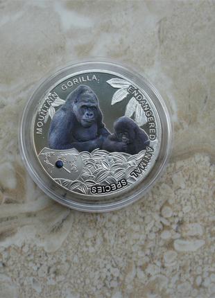 Монеты Африки Замбия 1000 квача 2014 Горная горилла