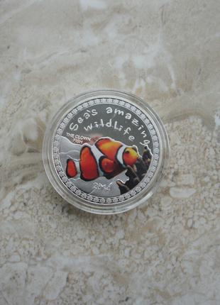 Монеты Африки Бурунди 5000 франков 2014 Рыба-клоун