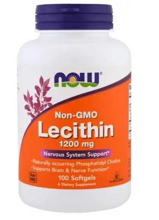 Лецитин подсолнечный Nosorog Sunflower Lecithin Powder 200гр