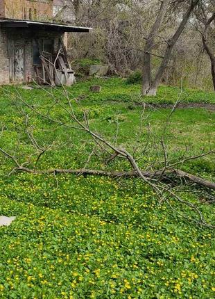 Земельна ділянка у центрі міста, парк Перемоги.