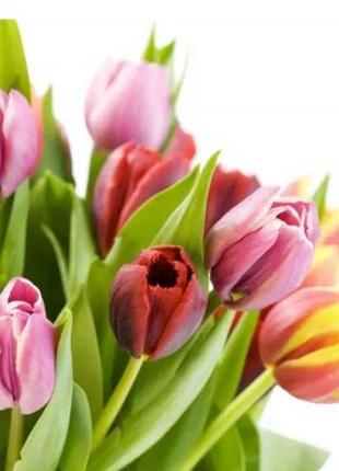 Алмазная вышивка Нежные тюльпаны весенние цветы букет первоцве...