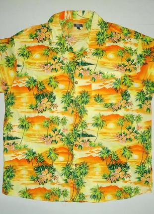 Рубашка  гавайская  easy cotton  est 1973 гавайка (xl)