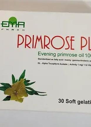 Primrose plus Примула вечерняя