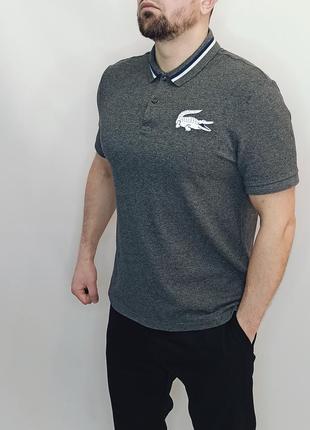 Футболка поло мужская серая lacoste