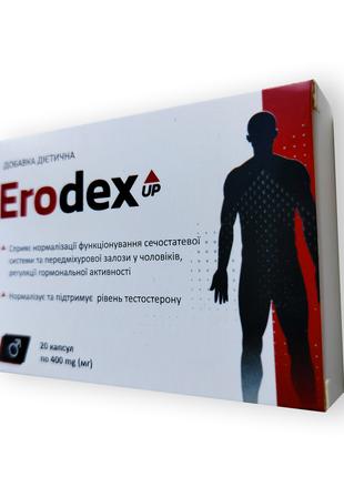 Erodex UP - капсули для нормалізації чоловічої сечостатевої си...