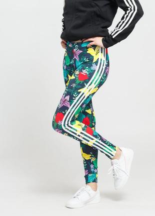 Лосины леггинсы adidas graphic tights multicolor