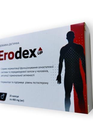Erodex UP - Капсули для нормалізації чоловічої сечостатевої си...