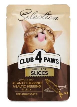 12 шт. Корм для котів Club 4 Paws Premium Selection в двох смаках