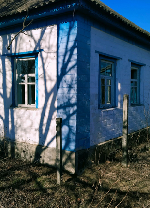 Будинок Сушки Прохорівка річка Дніпро газ ліс  пляж