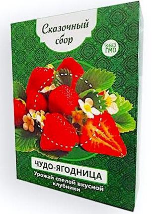 Диво-ягодница Казковий збір – набір для вирощування полуниці н...