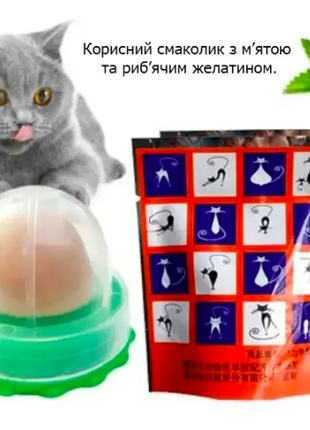 Лакомство для кошек с кошачьей мятой и витаминами.