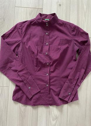Сорочка рубашка фіолетова бузкова на ґудзиках