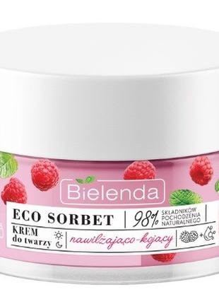 Увлажняющий крем BIELENDA ECO SORBET с экстрактом малины