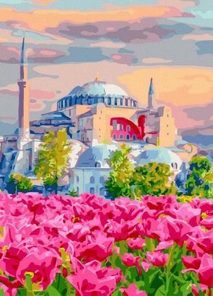 Картина за номерами Стамбульські квітучі лани 40х50 (Rainbow A...