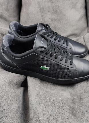 Lacoste deals endliner 117