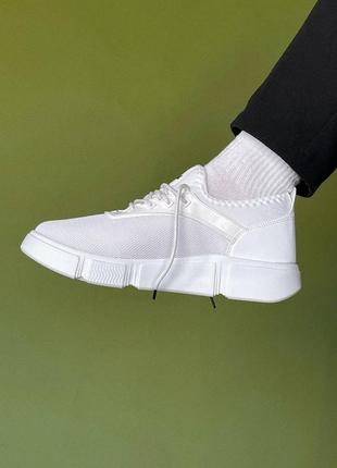 Кросівки lacoste black/white n