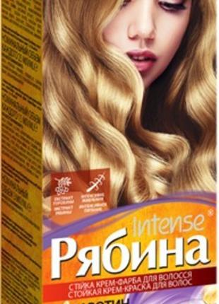 Фарба для волосся Acme color Рябіна Теплий блонд 1002