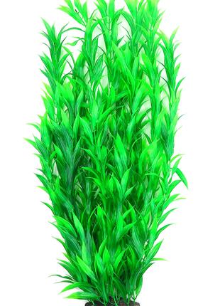 Растение для декора аквариума 8x6x60cm зеленое Hygrophila
