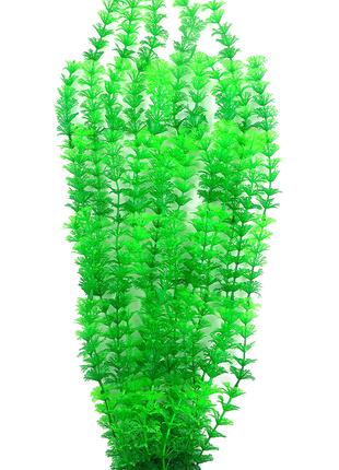 Растение для декора аквариума 8x6x60cm зеленое Ambulia