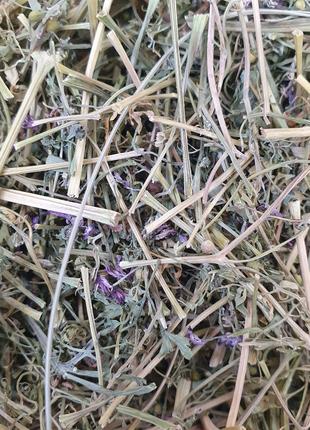 1 кг Дымянка/рутка лекарственная трава сушена (Свежий урожай) ...