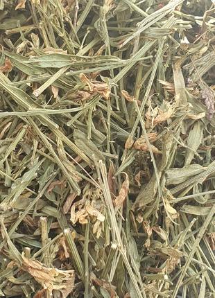 1 кг Дрок красильный/кровожадный трава сушеная (Свежий урожай)...