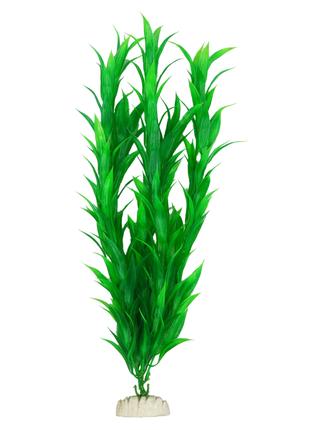 Растение для декора аквариума 6x4x40cm зеленое Hygrophila