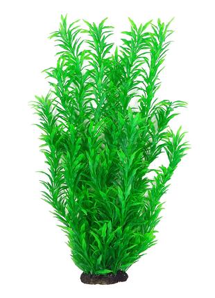 Растение для декора аквариума 8x6x40cm зеленое Hygrophila