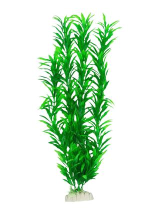 Растение для декора аквариума 6x4x40cm зеленое Hygrophila