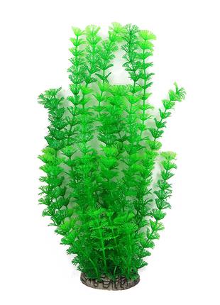 Растение для декора аквариума 8x6x40cm зеленое Ambulia