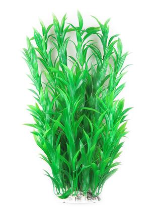 Растение для декора аквариума 8x6x40cm зеленое Hygrophila