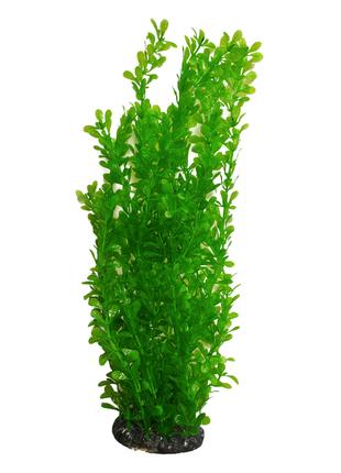 Растение для декора аквариума 8x6x40cm зеленое Ludwigia