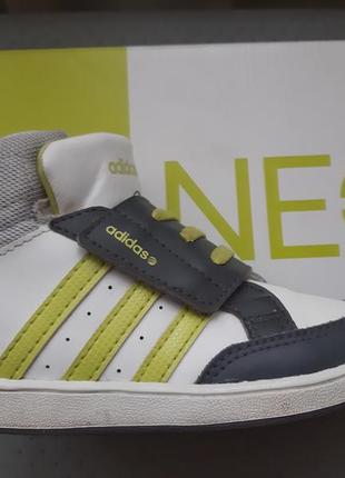 Кроссовки хайтопы adidas neo