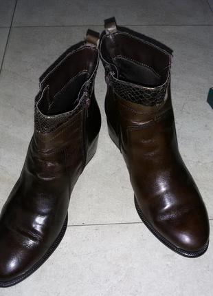 Женские ботинки бренда venturini 40 размер (26см)