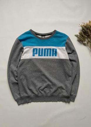 Sweatshirt puma мужской свитшот кофта пума